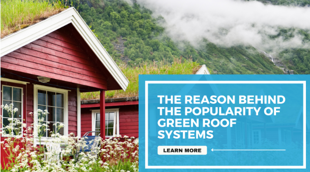 The Reason Behind the Popularity of Green Roof Systems